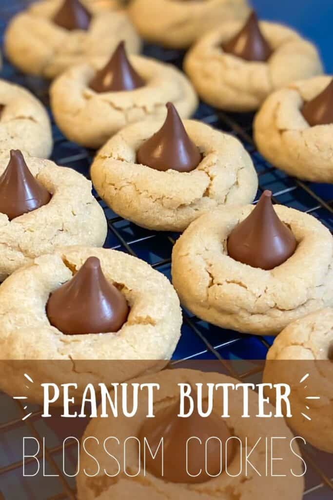 Peanut Butter Blossom Cookies Pin