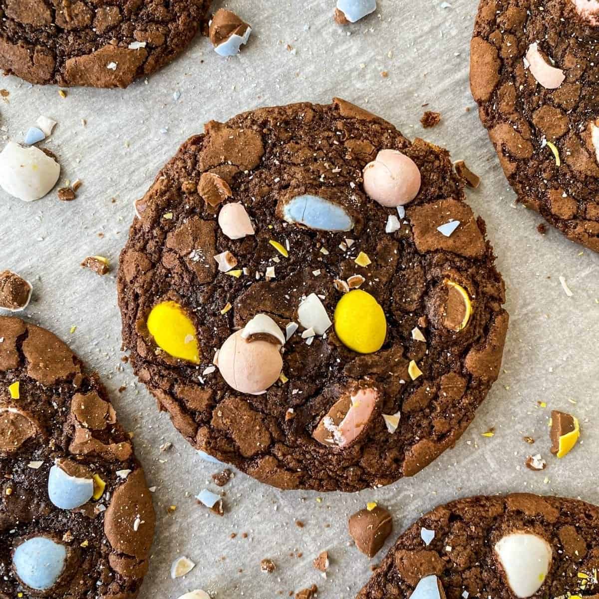 M&Ms new Milk Chocolate Honey Graham flavor is here for Easter