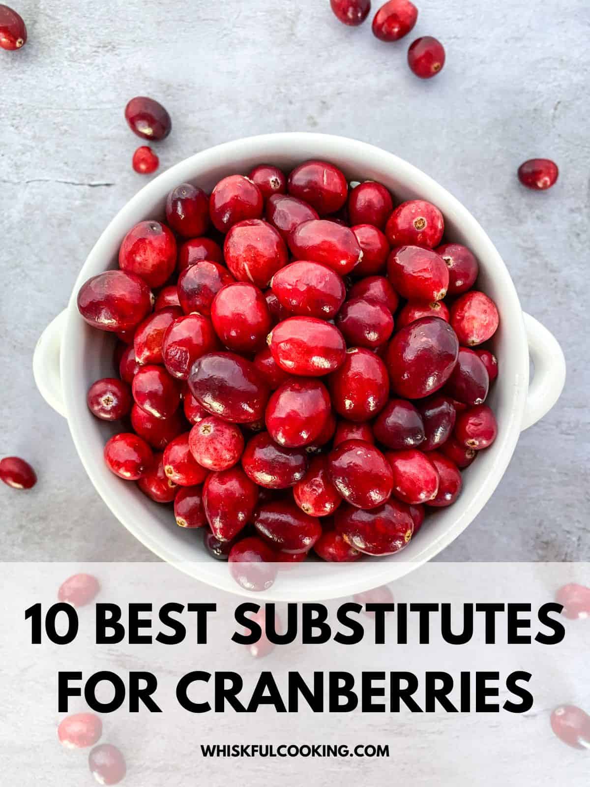 a bowl of cranberries and font over top that states 10 best substitutes for cranberries