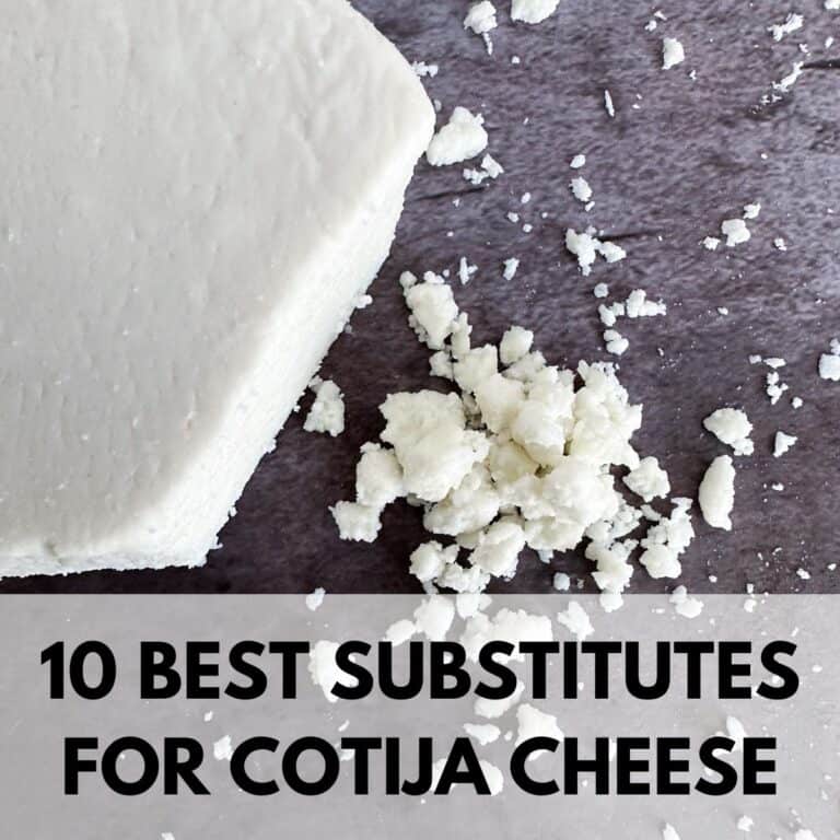 Top 10 Best Substitutes for Cotija Cheese