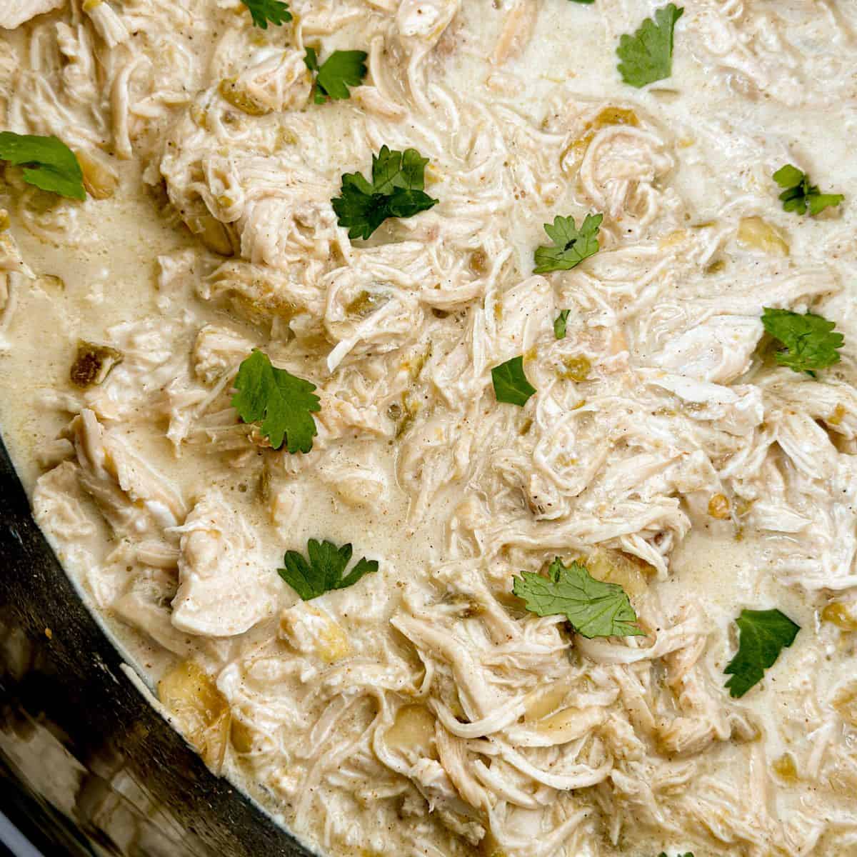 Slow Cooker Creamy Green Chili Chicken in the crockpot with cilantro on top