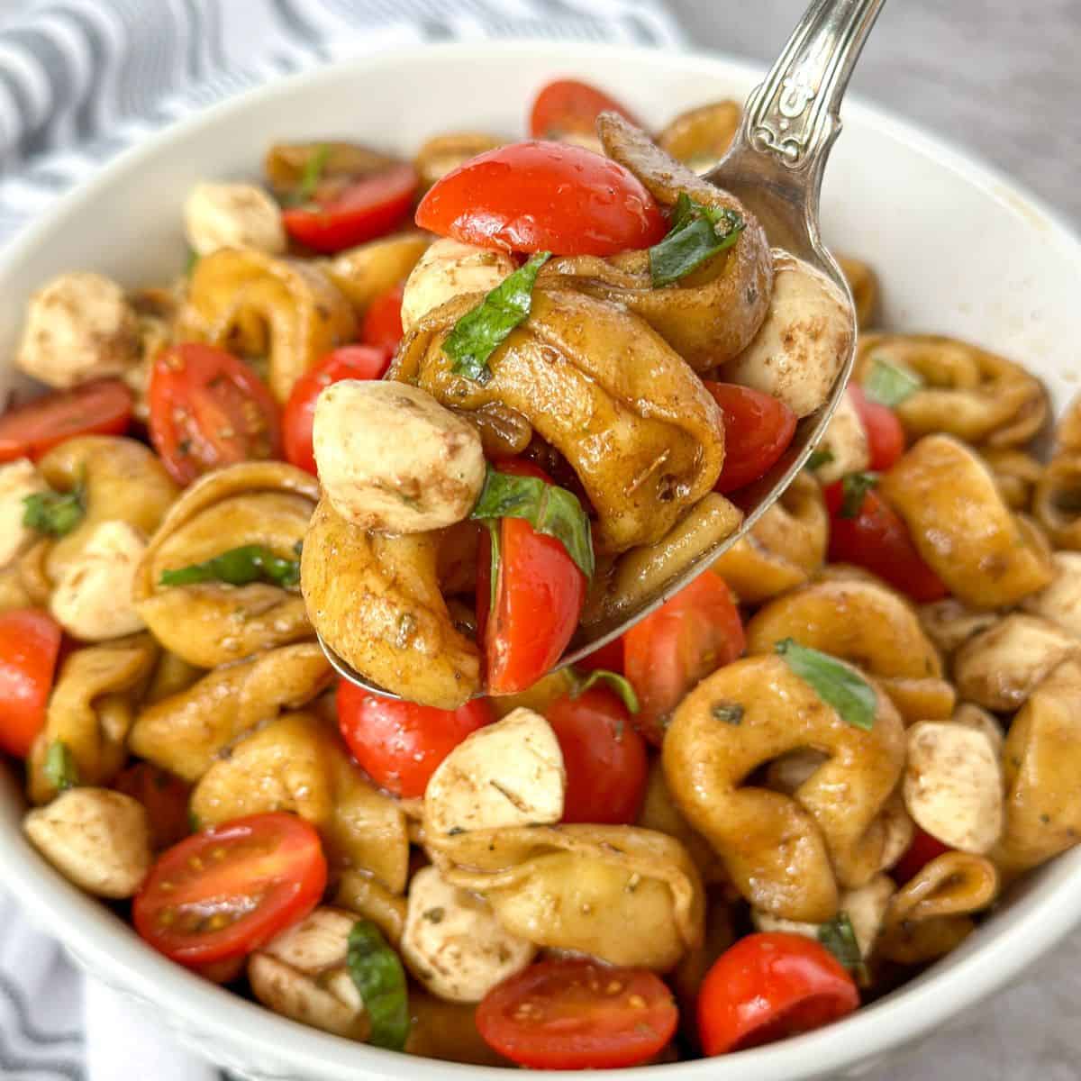 A spoon full of Caprese Tortellini Pasta Salad with a bowl full behind it.